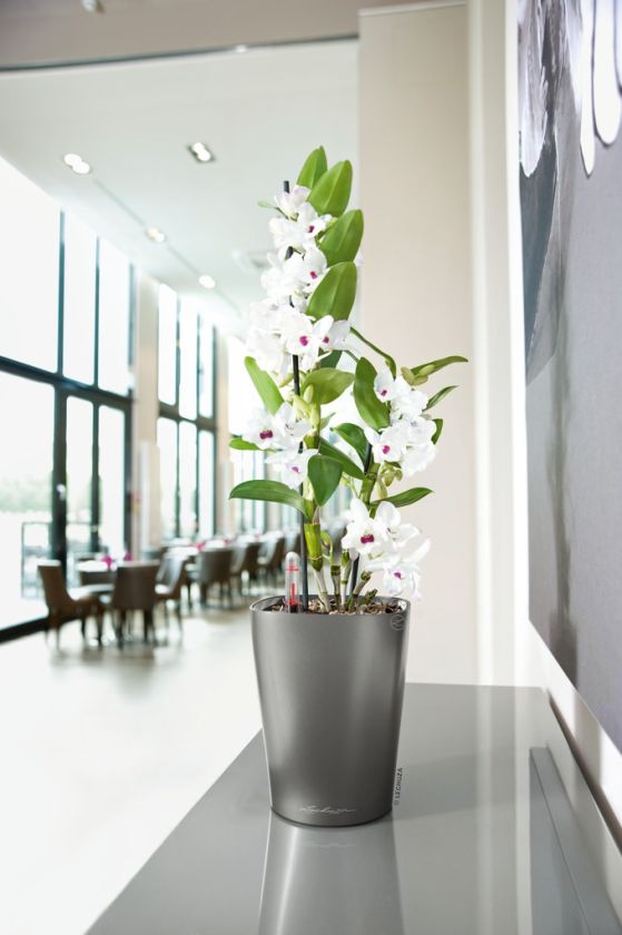 Lechuza - DELTINI Table planter Lechuza - DELTINI Table planter