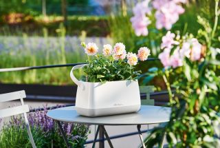 Lechuza - YULA plant bag