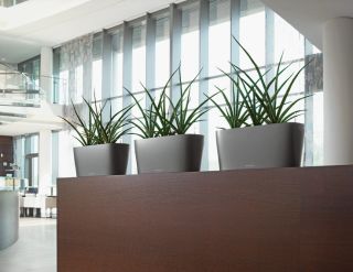 Lechuza - DELTA 20 Table planter