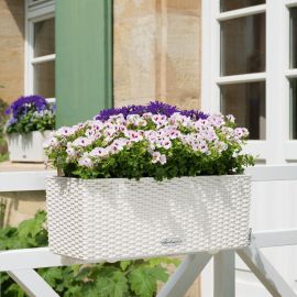 Lechuza - BALCONERA Cottage 50