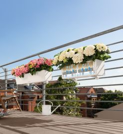 Lechuza - BALCONERA Color 80