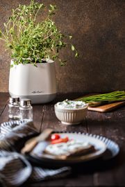 Lechuza - YULA planter