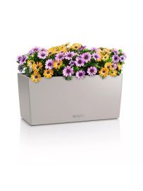 BALCONERA COLOR 40 AIO BALCONERA COLOR 40 AIO