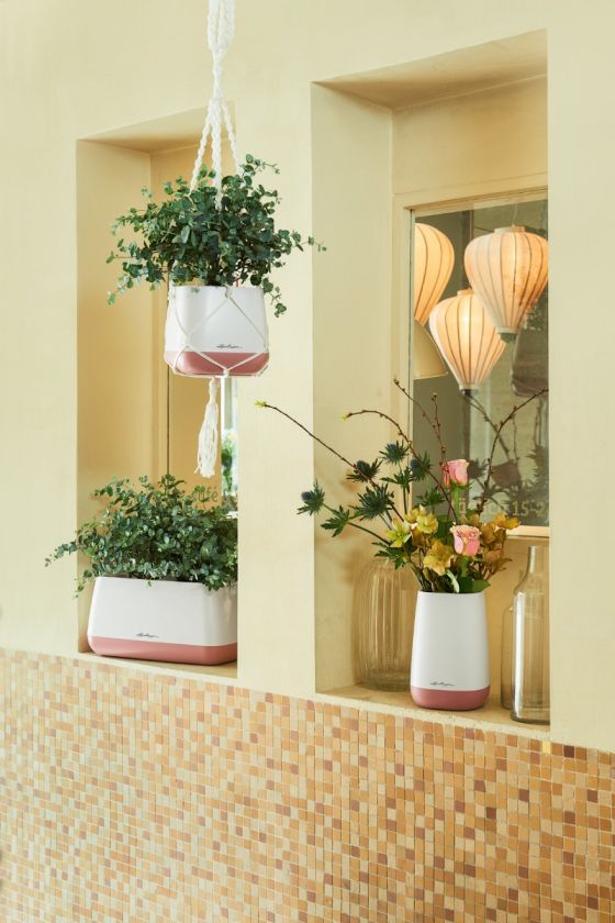 Lechuza - Yula Macrame Lechuza - Yula Macrame