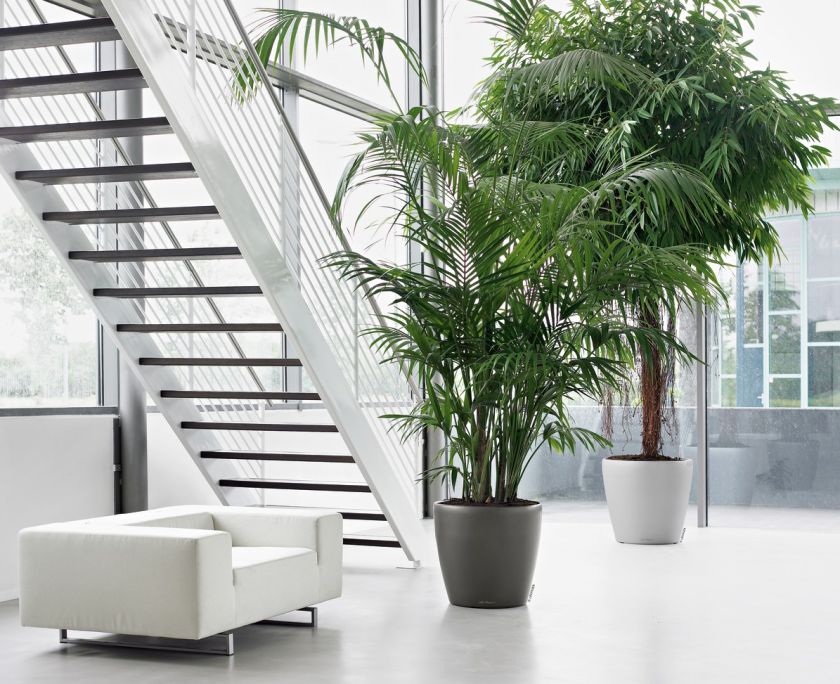 Lechuza - CLASSICO Premium 60 Lechuza - CLASSICO Premium 60