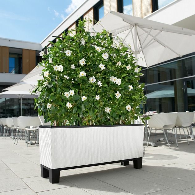 Lechuza - TRIO Cottage 40 Lechuza - TRIO Cottage 40