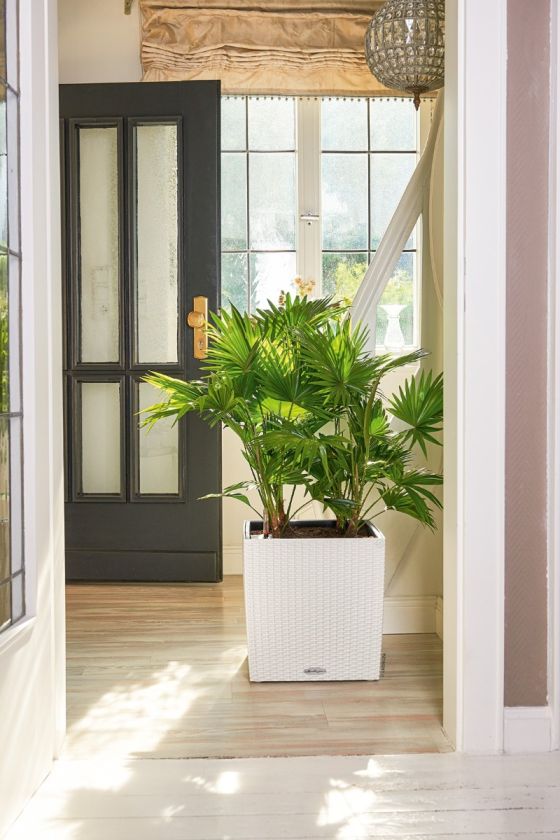 Lechuza - CUBE Cottage 40 Lechuza - CUBE Cottage 40