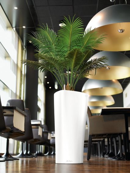 Lechuza - DELTA Premium 40 Lechuza - DELTA Premium 40