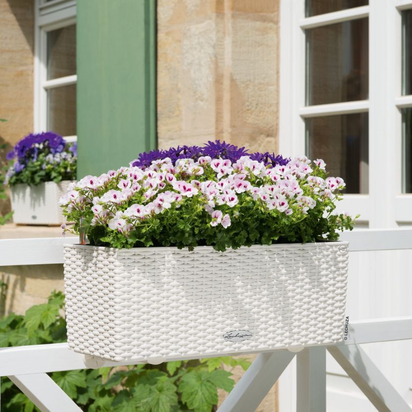 Lechuza - BALCONERA Cottage 50