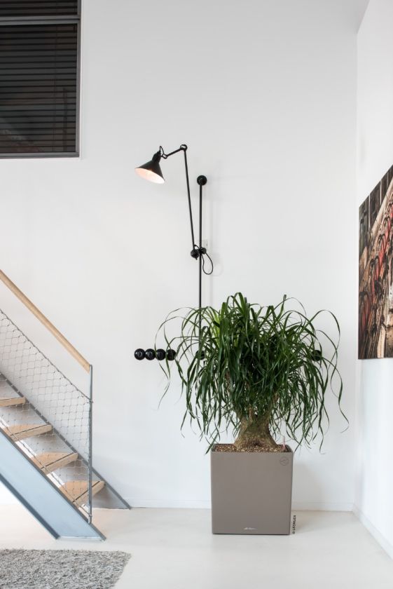 Lechuza - CUBE Premium 50 Lechuza - CUBE Premium 50