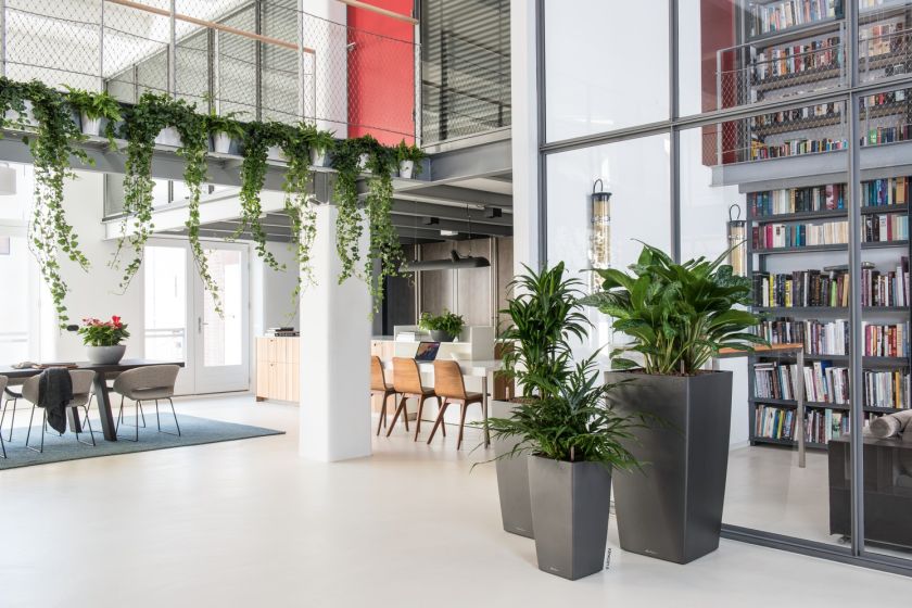 Lechuza - CUBICO Premium 30 Lechuza - CUBICO Premium 30