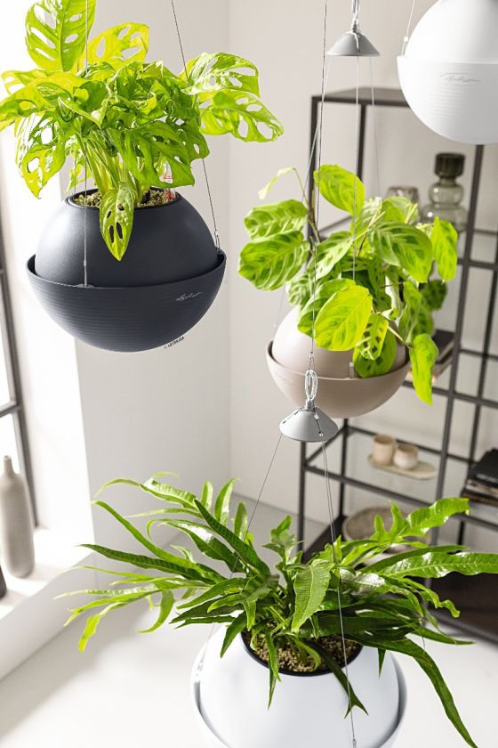 Lechuza - Bola Color 23 Lechuza - Bola Color 23