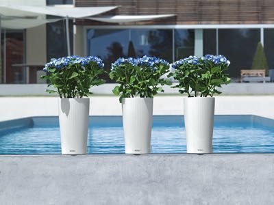 Lechuza - CILINDRO Color 32 Lechuza - CILINDRO Color 32