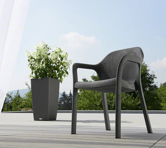 Dining Chair Dining Chair