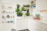Lechuza - Green Wall Home Kit Color