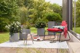 Lechuza - CANTO Stone 30 low
