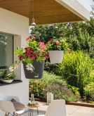 Lechuza - Nido Cottage 35