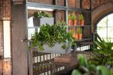 Lechuza - BALCONERA Stone 50