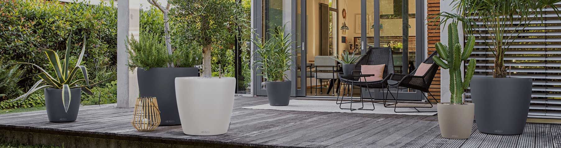 Classico Color 60 70 