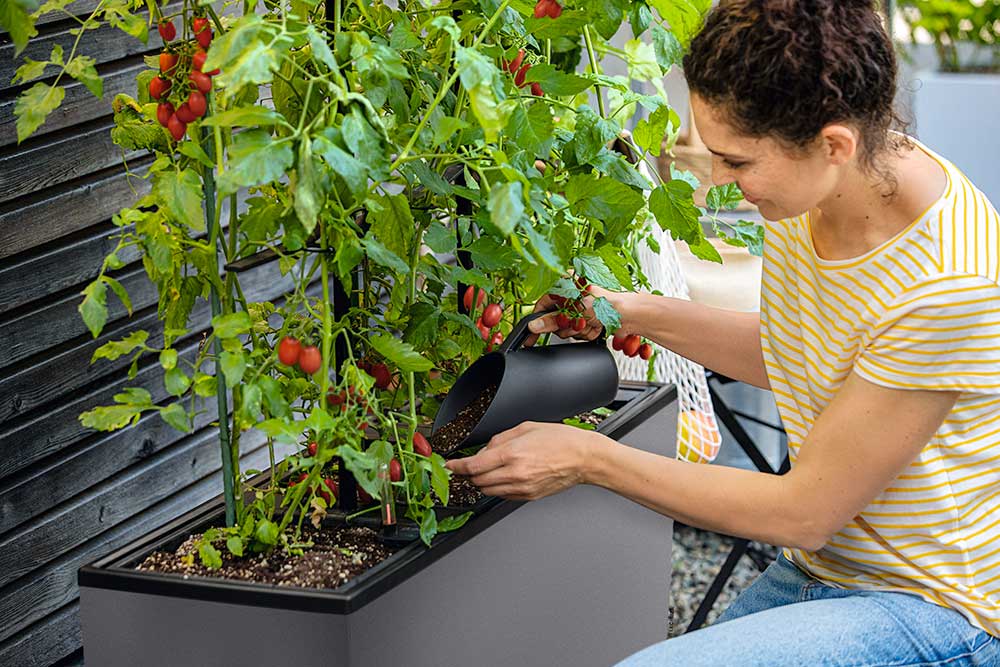 Best Outdoor Pots for Australian Conditions