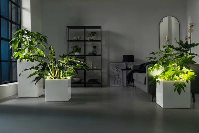 How to Choose the Right Size Plant Pot for Your Space