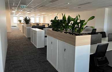How to Use Planters in Office Spaces