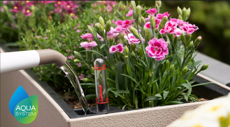 Self-Watering Pots Explained: Do They Really Work?