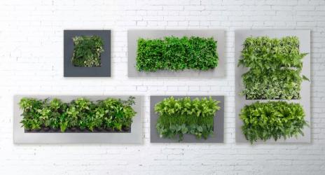 Vertical Gardens In Your Home Or Office
