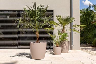 Self-Watering vs Traditional Pots: The Best Choice for Australian Gardens Self-Watering vs Traditional Pots: The Best Choice for Australian Gardens