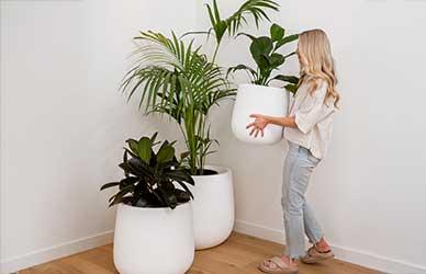 The Best Indoor Plant Pots in Australia for 2026
