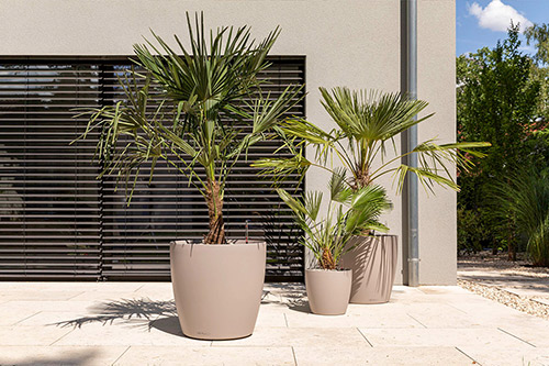 Self-Watering vs Traditional Pots: The Best Choice for Australian Gardens Self-Watering vs Traditional Pots: The Best Choice for Australian Gardens