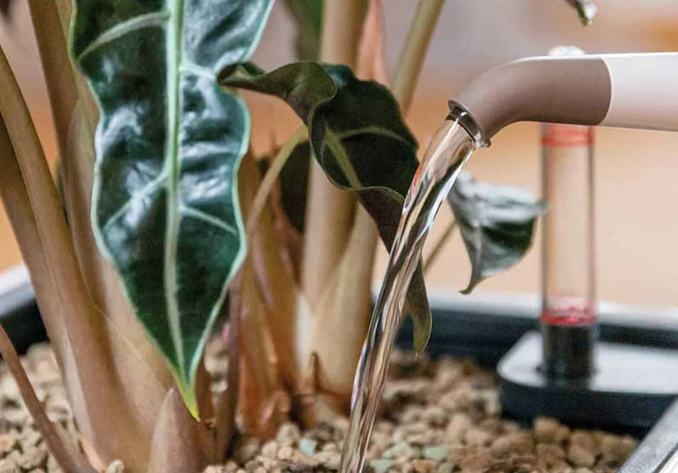 Less watering worry, more greenery!