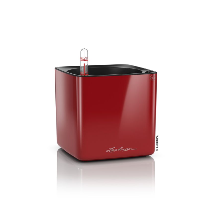 Lechuza - CUBE Glossy 16 Lechuza - CUBE Glossy 16