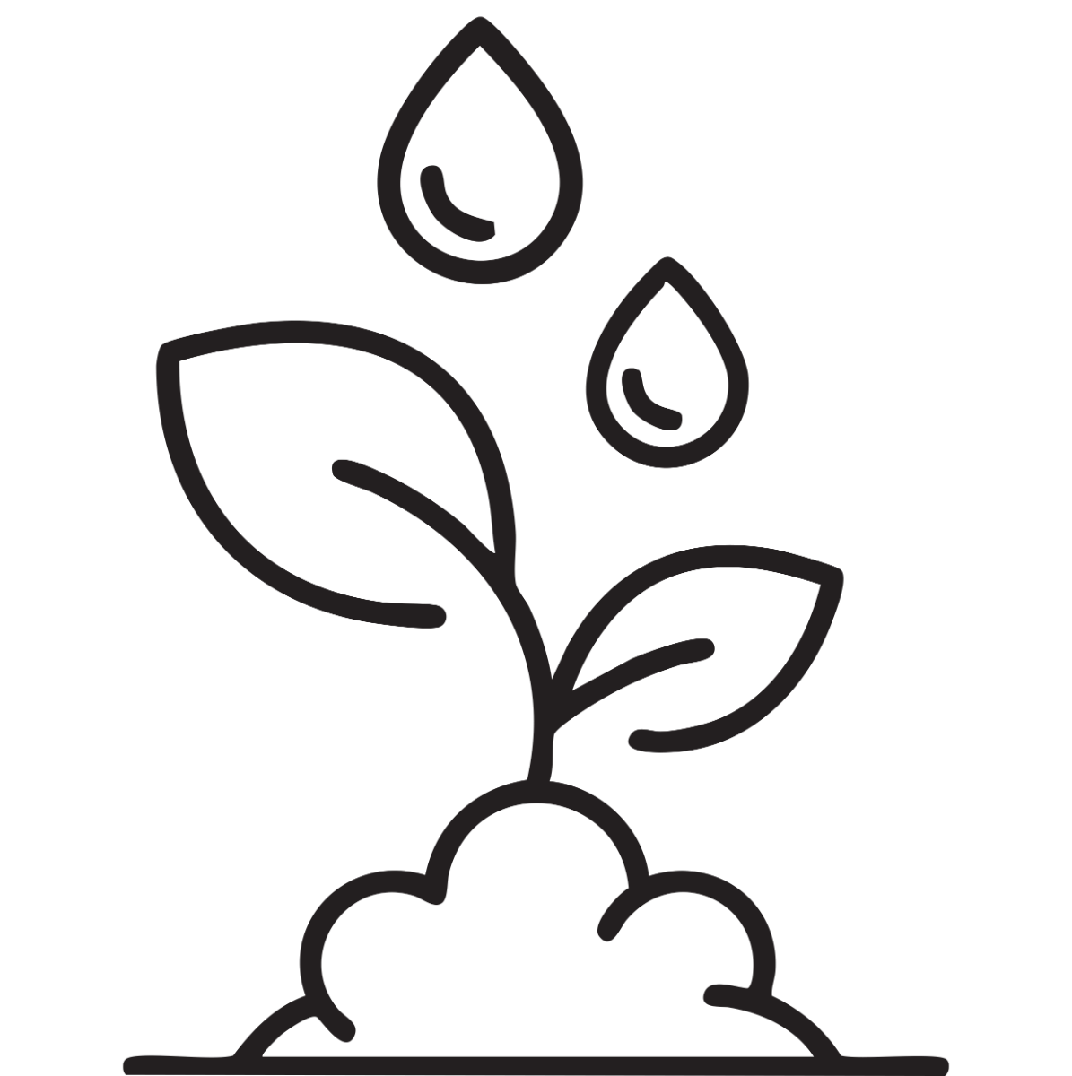 Self-watering Systems