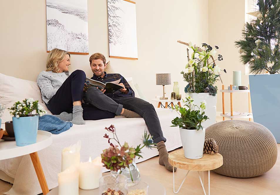 Ready to Upgrade Your Space?